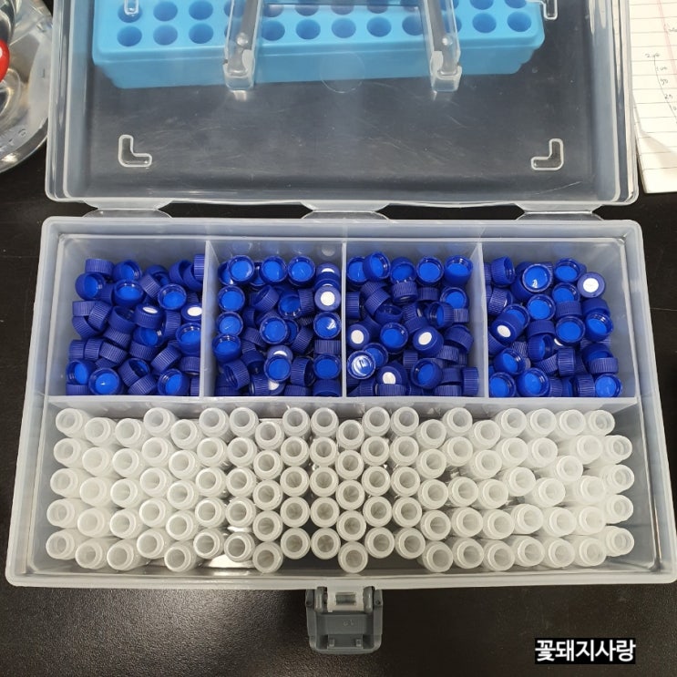  주간일기