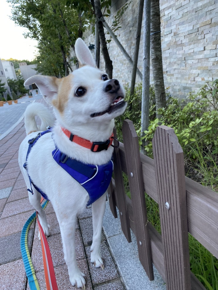  진짜 가을이 왔나 봄!