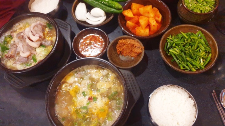  강남역 순댓국 젤 맛있는 곳 백암 왕순대