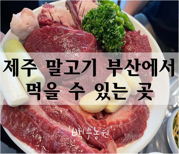  수영구 고깃집 제주도 말고기 부산에서 먹을 수 있는 곳 '백수농원'