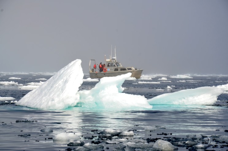 기후의 역습: 북극의 경고