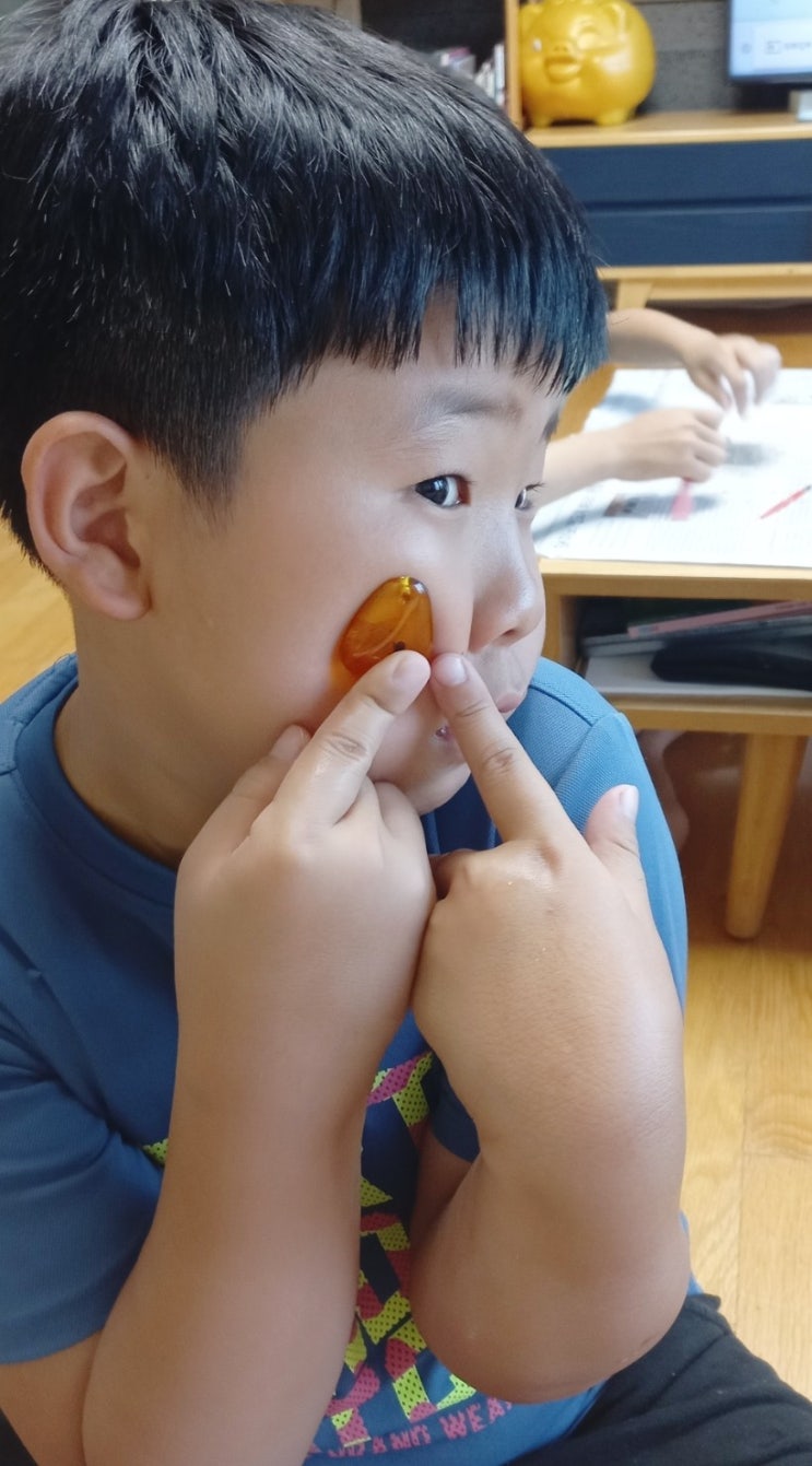  산책  후 리얼 곤충 화석 발굴 키트