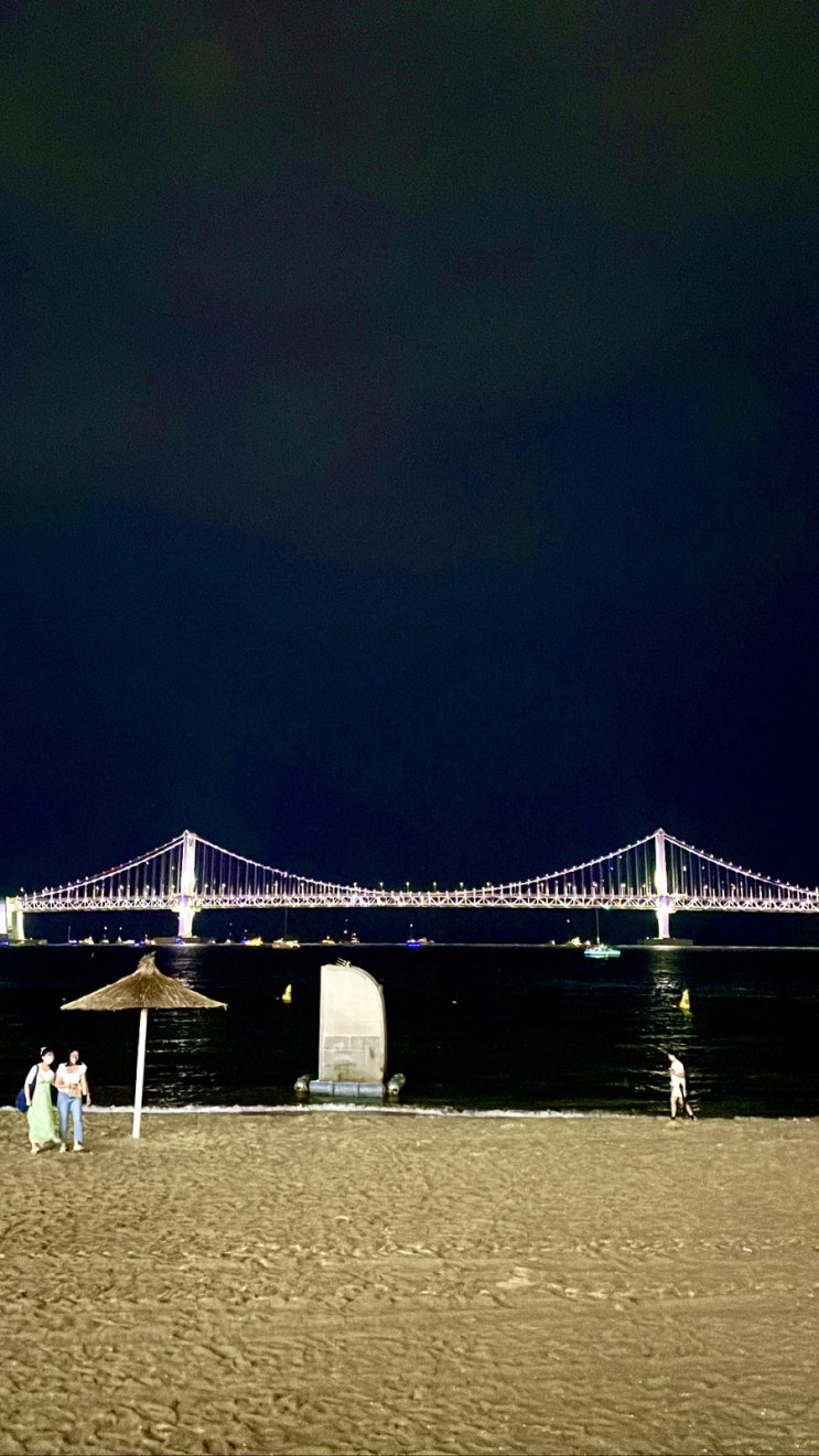  노느라 바빴던 일주일