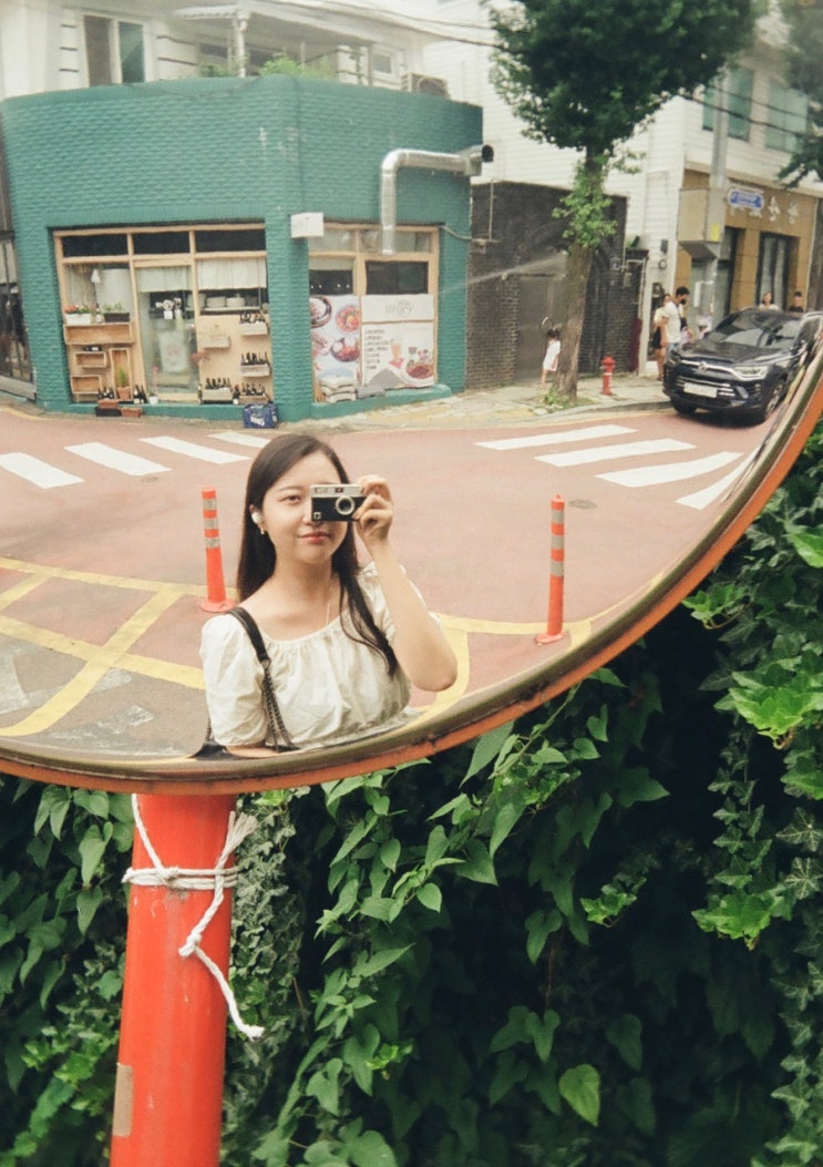  #5 :: 코닥 H35 하프카메라 첫 현상 작례 with 코닥 골드 200