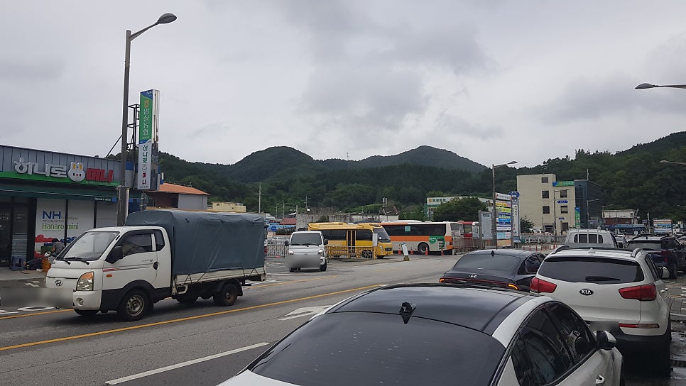 나드리김밥 임실점 사진 1