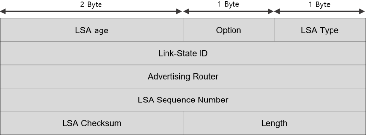 [OSPF] OSPF LSA Type