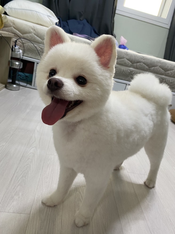  [룩또]1031회 로또번호추천_1030회 로또당첨번호조회