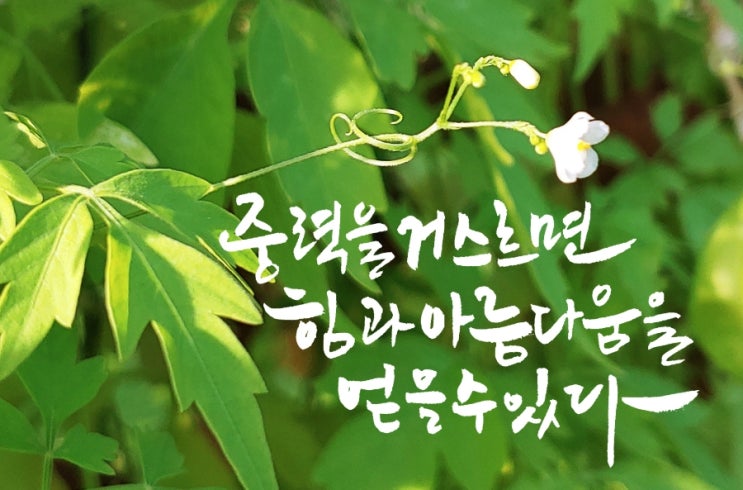  힘과 아름다움을 얻을 수 있는 법