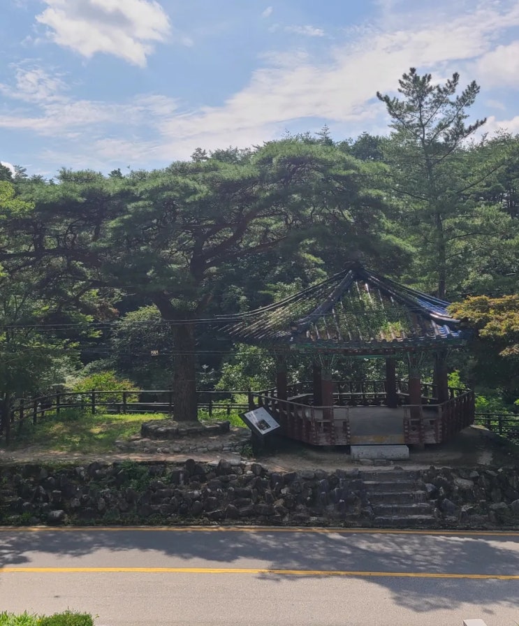  남원 가볼 만한 곳, 남원 육모정, 춘향묘, 용호서원 탐방