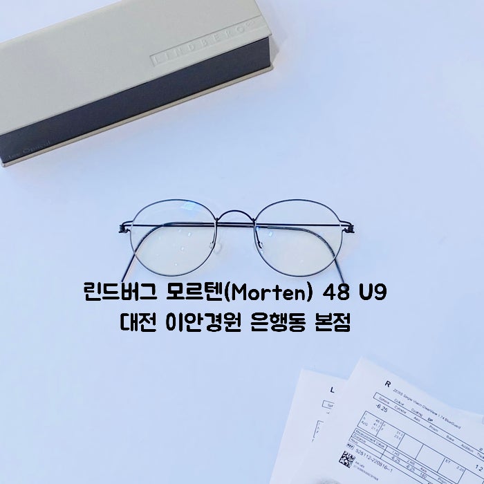 고도 근시 추천 안경 렌즈 / 칼 자이스 클리어 뷰 1.74 블루 가드 1