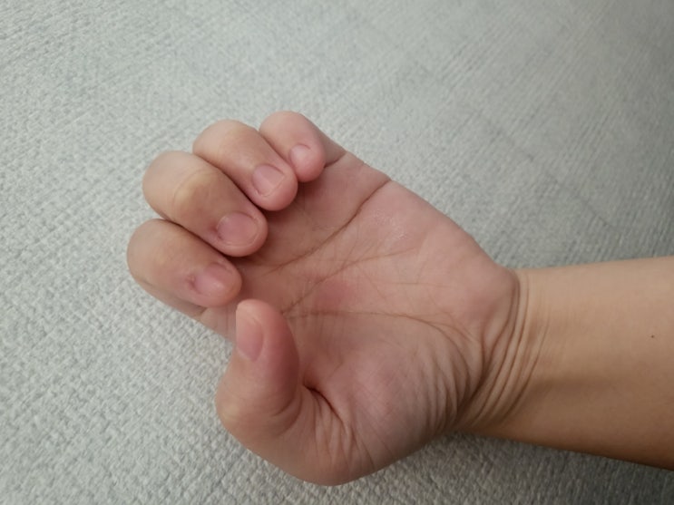  주간일기 8월 마지막주