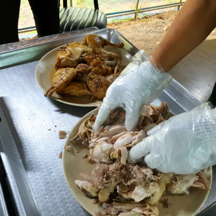  동변동 맛집 느티나무 식당(백숙 전문 옻닭, 토종닭)