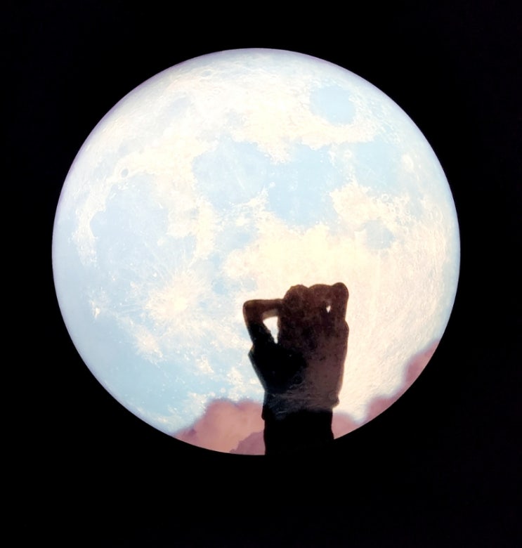  주간 일기 8월 네 번째