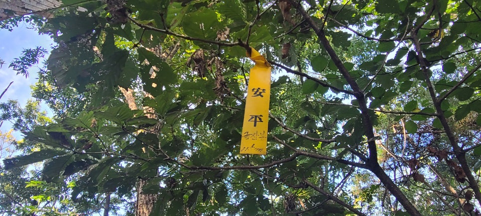 긴등산 사진 2