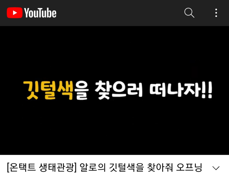  한려해상생태탐방원 온택트 생태체험 프로그램 : 알로의 깃털색을 찾아서 (In 통영 만지도)