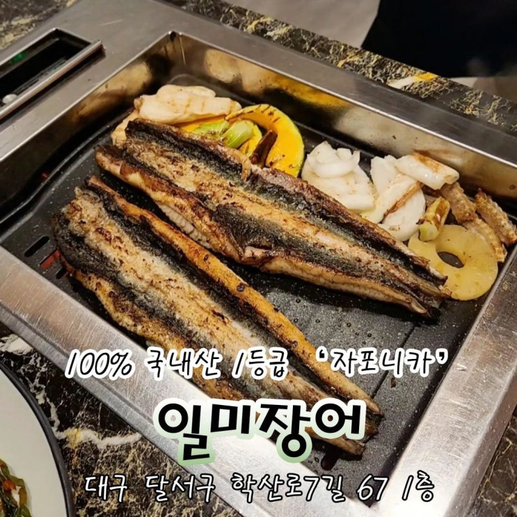  본리동 장어 일미장어 팔딱팔딱 생물 활어와 함께해요