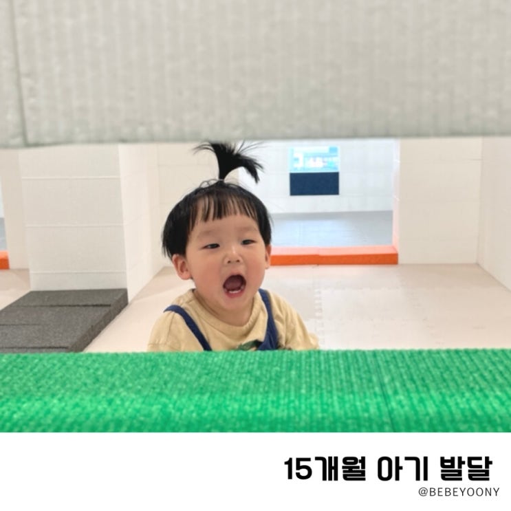 15개월 아기 발달 키 놀이 언어 총정리