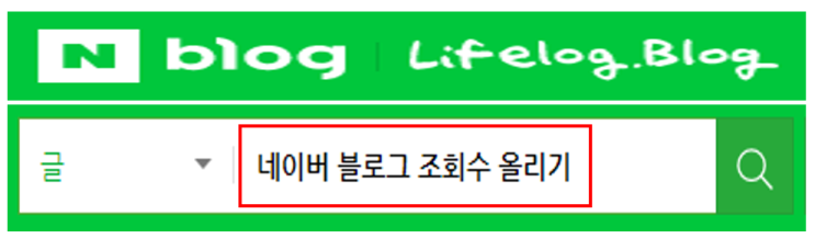 네이버 블로그 조회수 올리기 / 방문자수 올리기 (다음, ZUM, 네이트, 구글 검색 노출 신청)