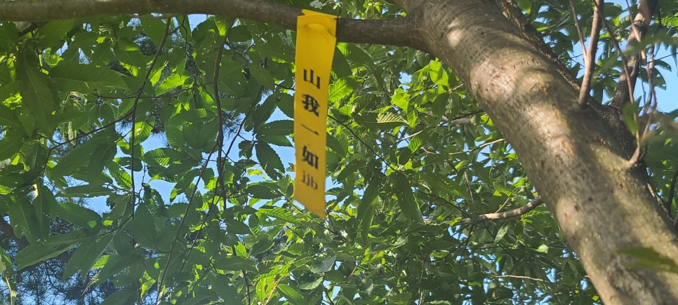 긴등산 사진 6
