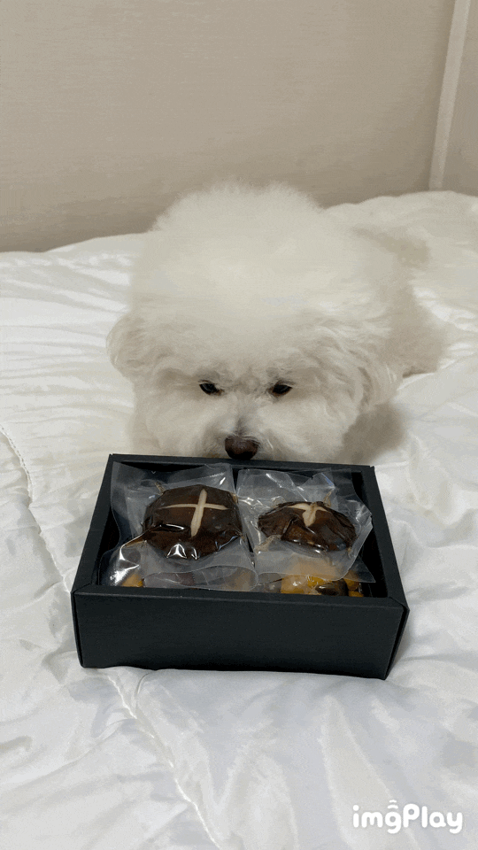 펫<b>만찬</b> 강아지 수제간식 특식 <b>추석</b> 송편