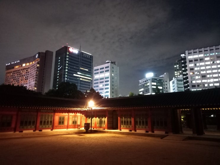 서울 시청 & 덕수궁 답사: 도심 한가운데 위치한 현대의 궁궐