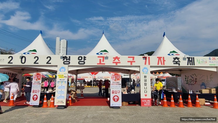  청양고추·구기자축제 둘러보기~~