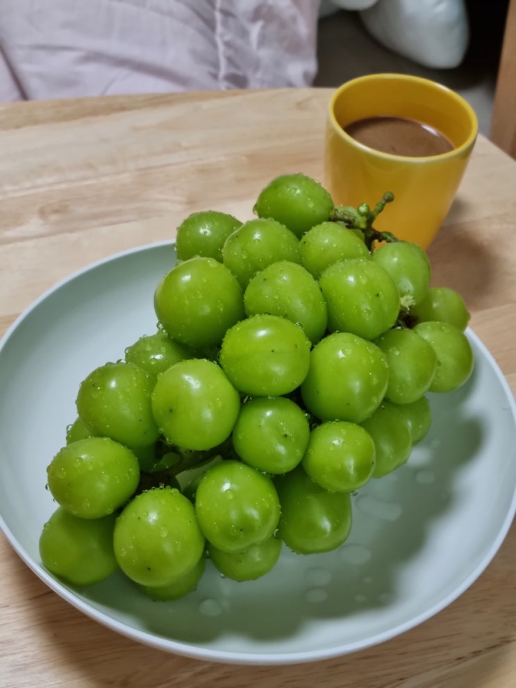  블챌