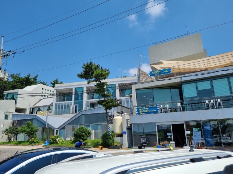  태안 모켄풀빌라 내돈내산 리얼 후기