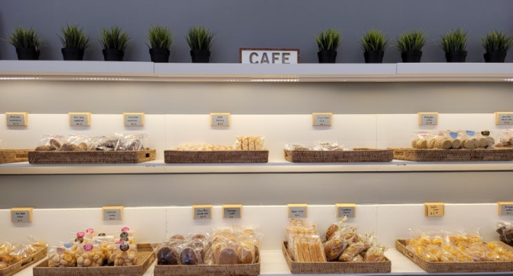  (토론토) 토론토 Tokyo Cheesecake Cafe
