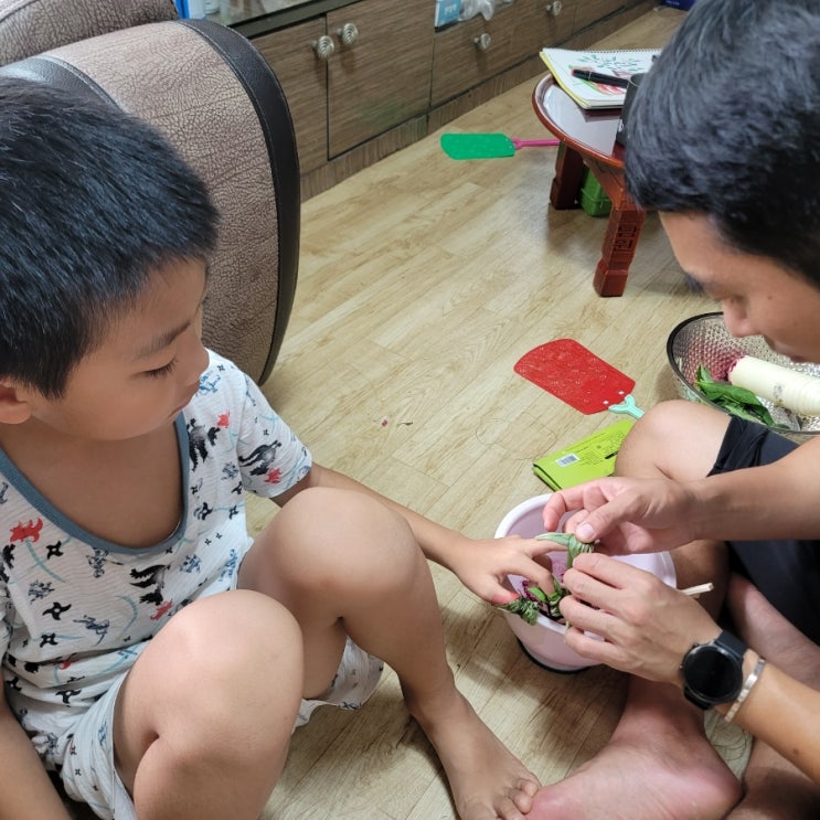  (공감글) 말 잘하기, 말하는 목적