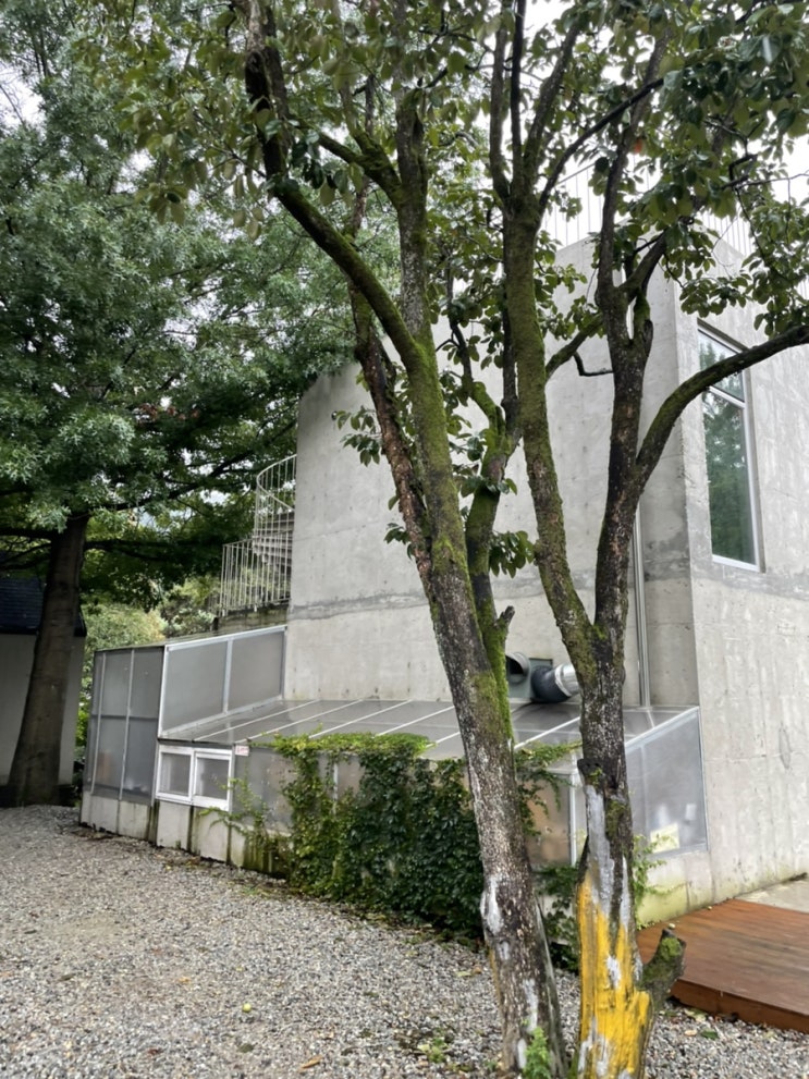  [카페 리뷰] 공주 카페 엔학고레 리뷰