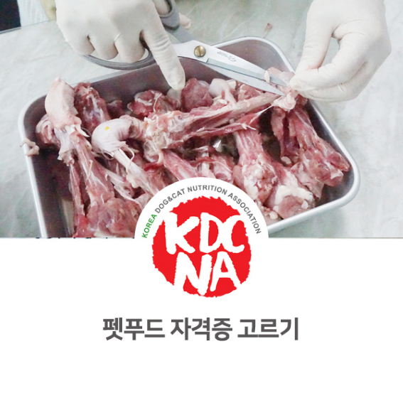  펫푸드 자격증 고르는 방법 [한국반려동물영양협회/박은정펫푸드아카데미/망고네펫푸드/전주/광주/원주_981]