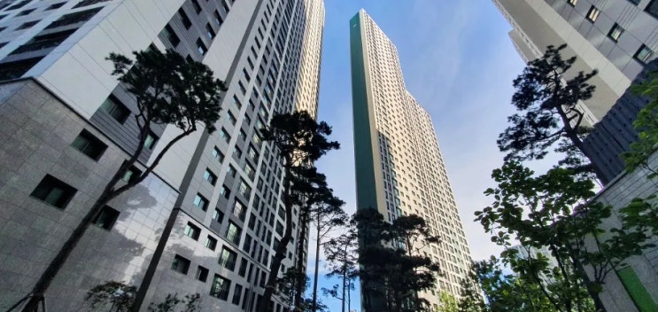  한국부동산원의 데이터 오류 - 잘못된 투자로 가지않는방법