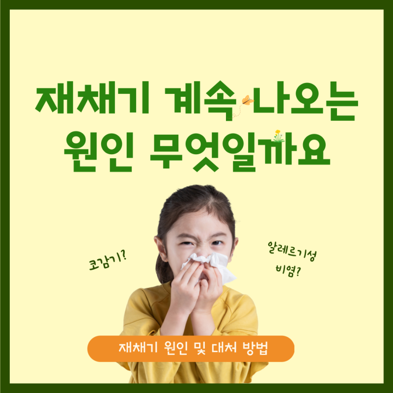 고양이 재채기를 왜 하지? 원인과 해결법