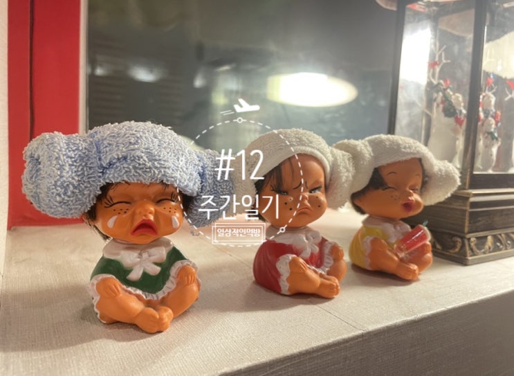  #12 정신없는한주