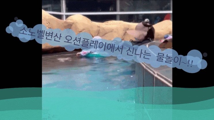  아이가 좋아하는 수영장 소노벨변산 오션플레이에서 놀아요!
