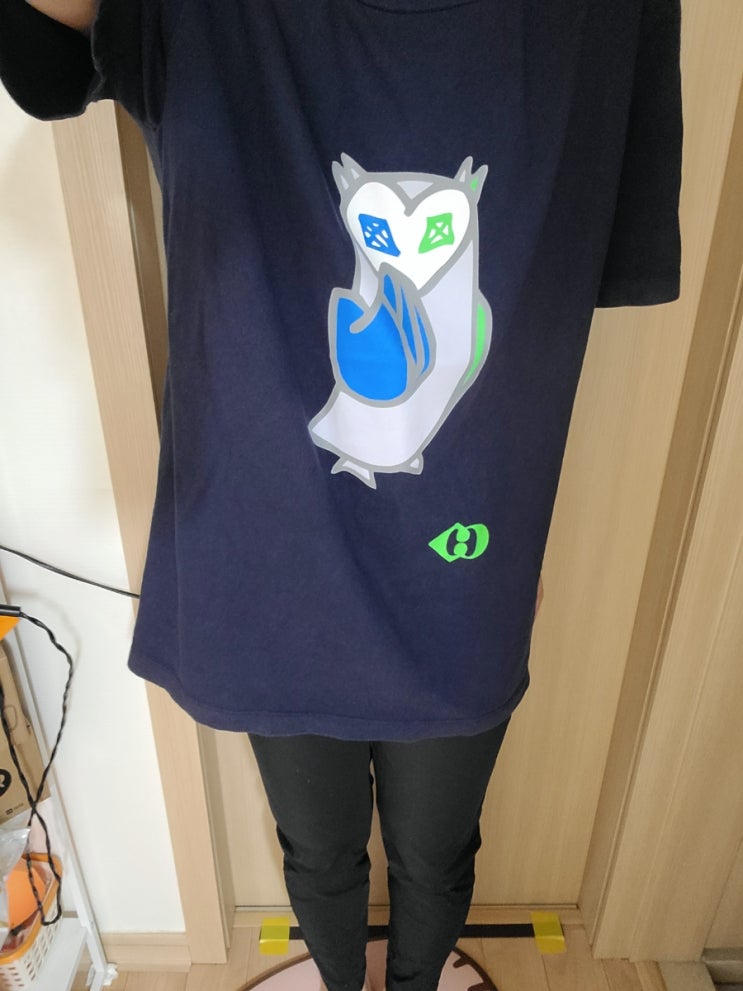  데일리룩