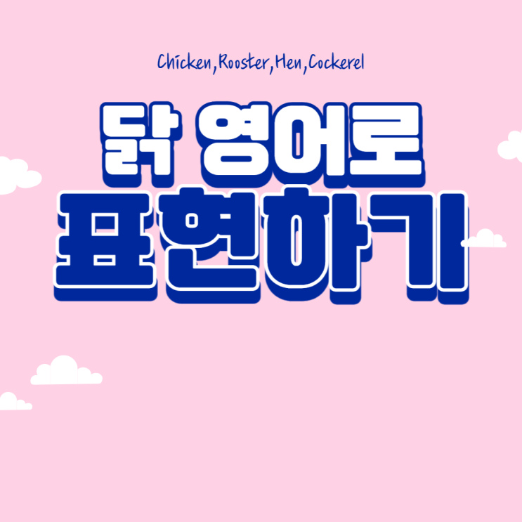  닭 영어로 어떻게 말할까? (Chicken,Hen,Rooster,Cock)