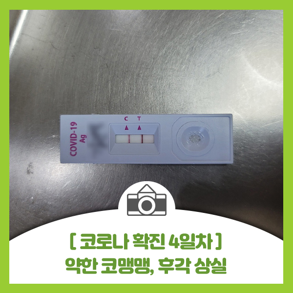  화이자 백신 3차까지 접종한 40대 남자 코로나 확진 4일차 증세(격리 중 재택치료 4일차)