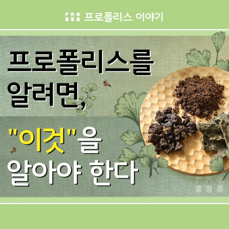 프로폴리스를 알려면, "이것"을 알아야 한다