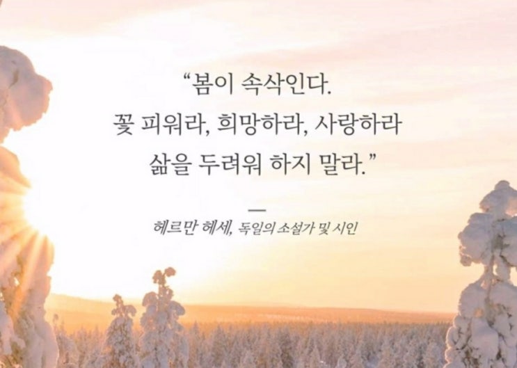  부거사이 [부동산 뉴스와 블로그] 8월 29일(월)