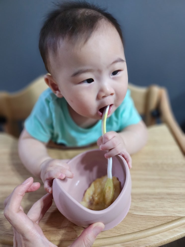  [7개월 중기이유식] 찹쌀닭고기감자당근죽 / 현미 소고기애호박표고버섯죽 (w. 보랄마스터기+냄비이유식)