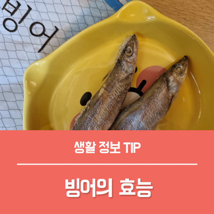  나만 알고 싶은 빙어 효능 7가지