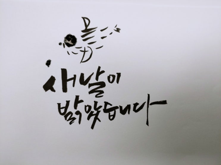  새날이 밝았습니다.