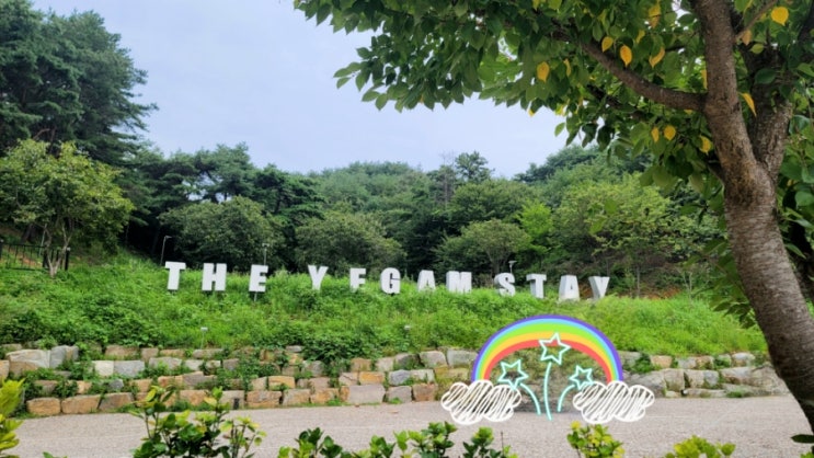  33th_(산청)더예감스테이, 두 번째 방문 (편의시설, 사이트별 전경 포함)