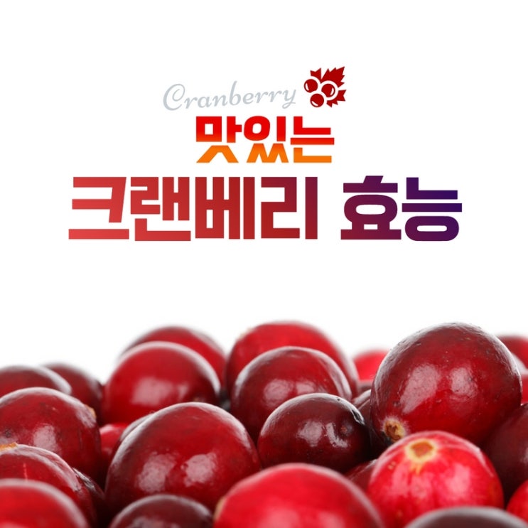  방광염에 좋은 크랜베리 효능 프로안토시아닌 가득한 황산화식품
