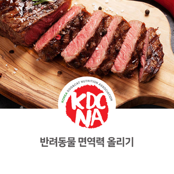  권수진 반려동물영양전문가가 알려주는 강아지 면역력에 좋은 음식 [한국반려동물영양협회/댕밀헌/펫푸드클래스/청주/보령/안양_987]