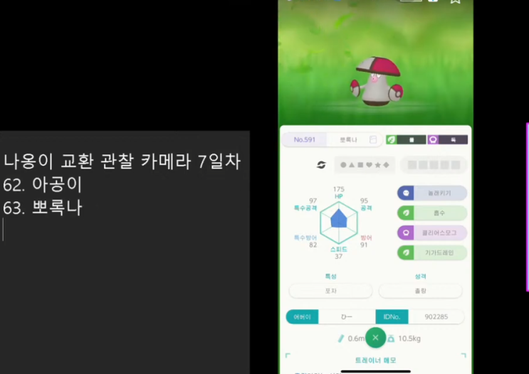  특별한 나옹이를 15일 동안 랜덤교환하면 생기는 일 - 7일차