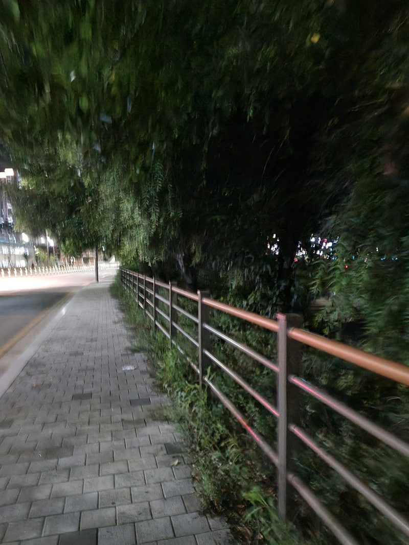 아케이 무브 플랭크 바른자세 숄더밴드로 자세교정해보세요!