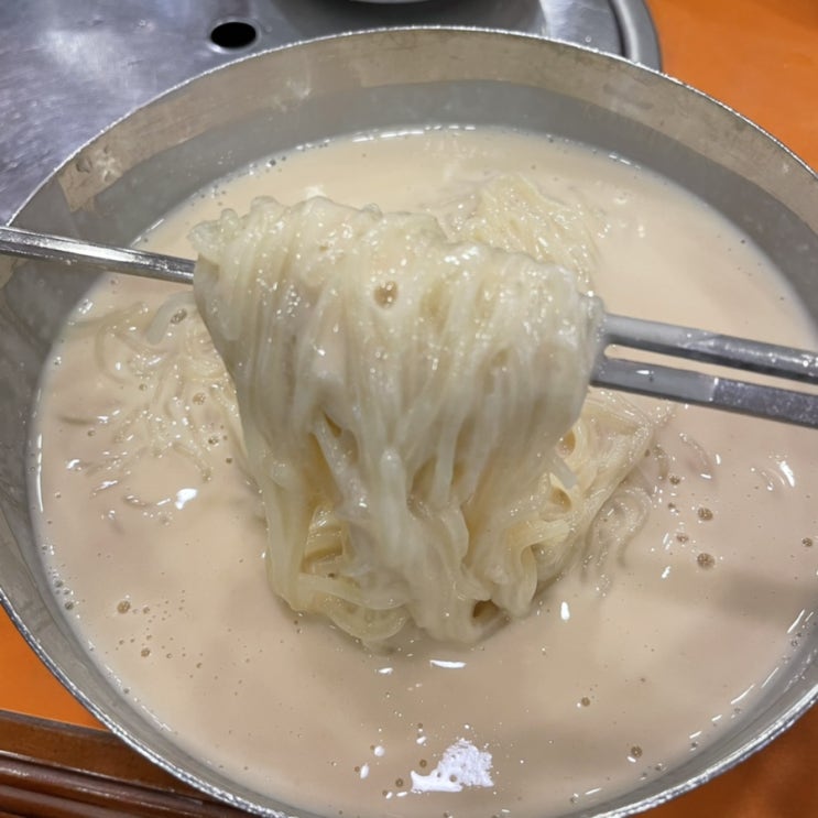  서울 시청 맛집 진주회관 냉콩국수 전문점!